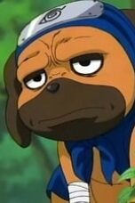 xZMvh7I6f8YlHJuFsoHx7oCO5vd